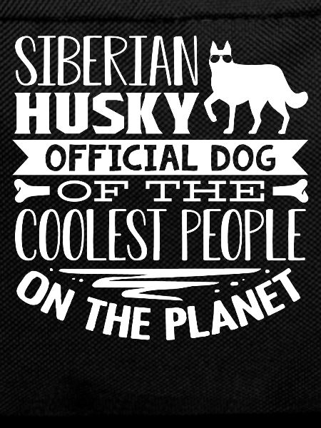 Siberian Husky