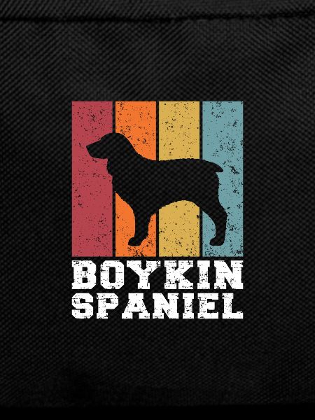 Boykin Spaniel