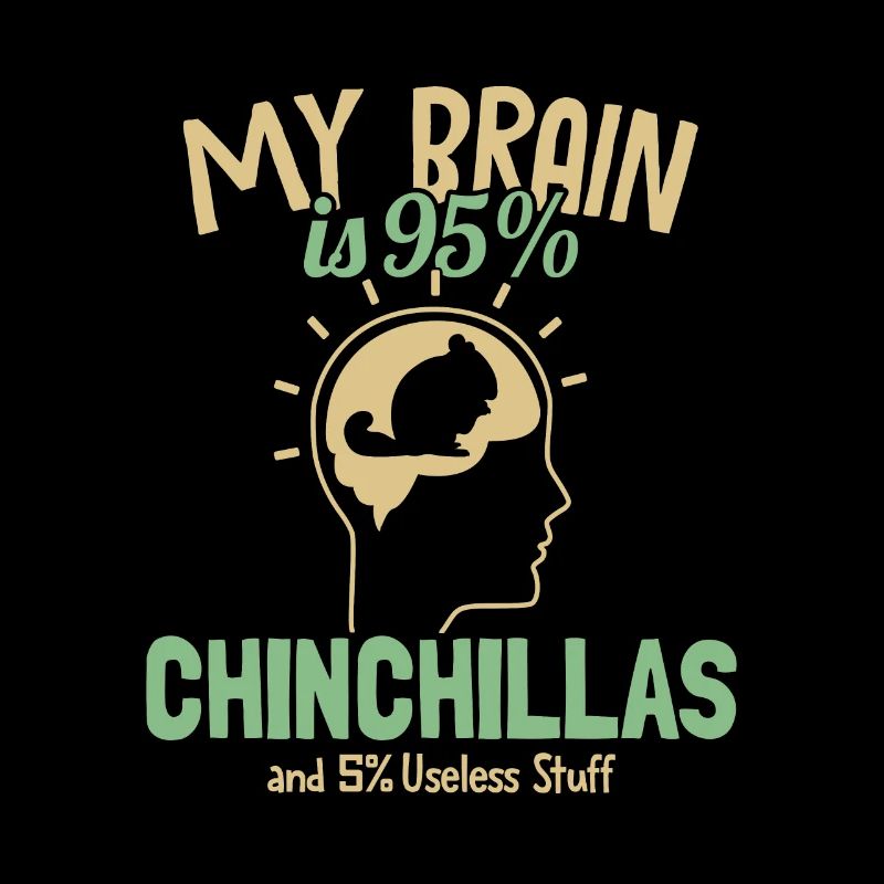 Mon cerveau est composé à 95 % de Chinchillas Longtail Longhair