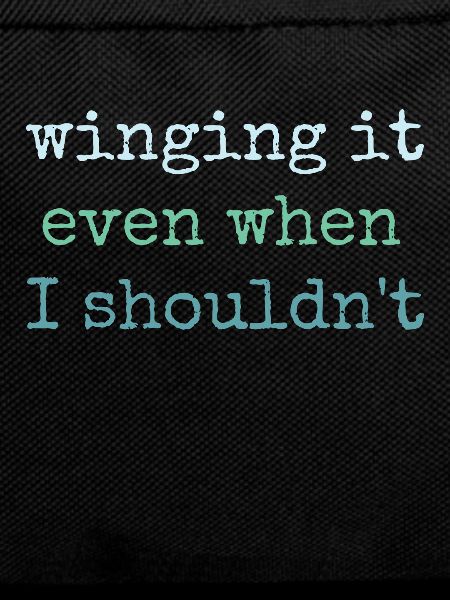 Winging It Even When Wingsurfing