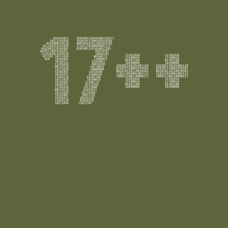 17++ Programmierer Developer Coder 18. Geburtstag