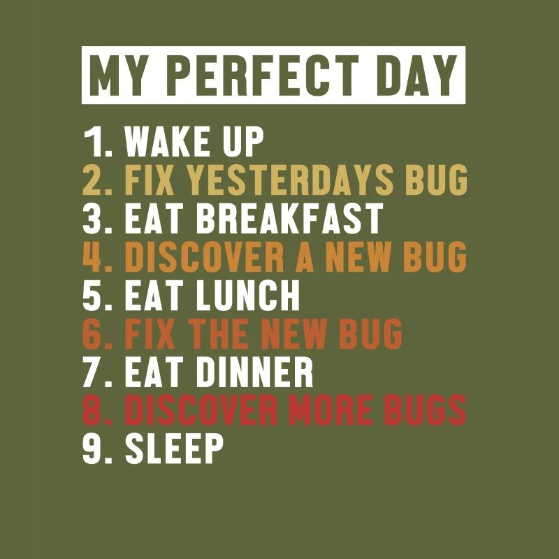 Fix Bugs Perfect Day Developer Coder Programmer