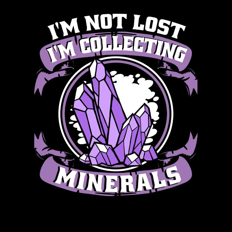 Pas perdu Je collectionne les minéraux Géologue