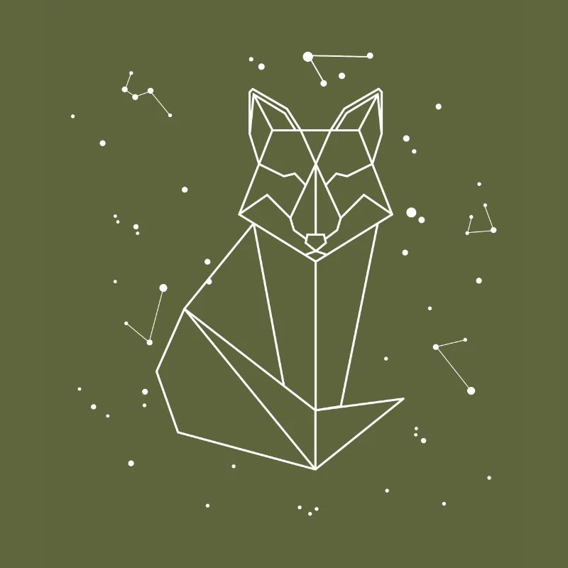 Sternbild Fuchs Sternbild Rotfuchs Canidae