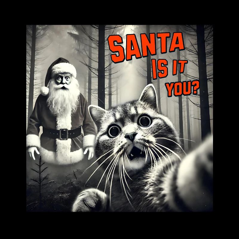 Le chat et le père Noël existent vraiment : Selfie Noël