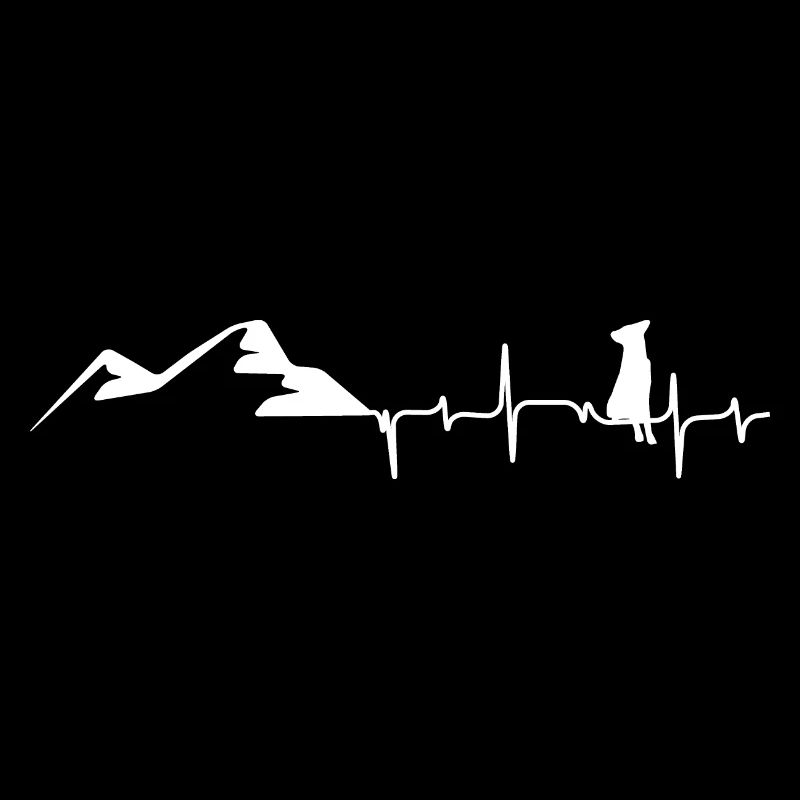 Goat - Heart palpitations - Mountain - (7)