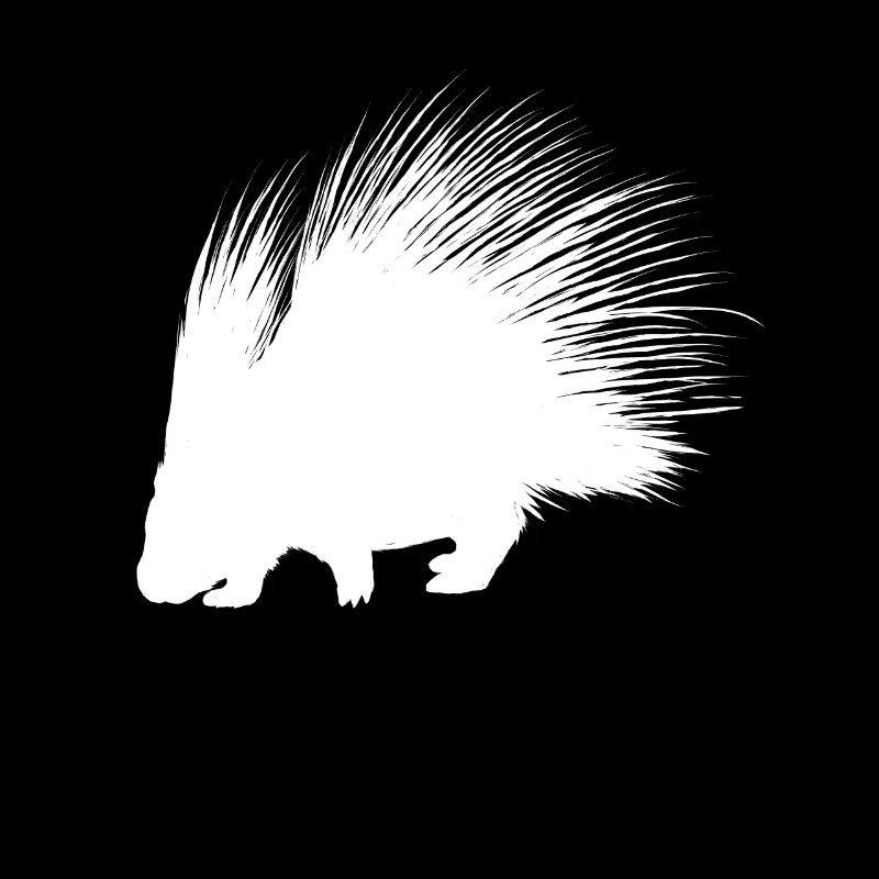Stachelschwein