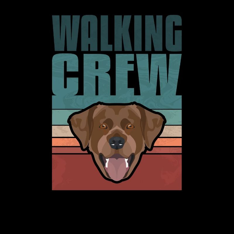 Gassi Crew, Chocolat Labrador, Lab