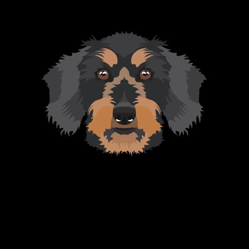 Smiling rough-haired dachshund