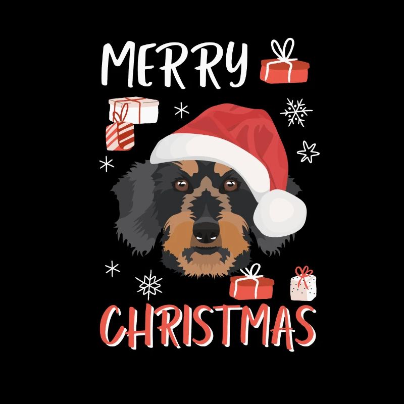 Rough-haired dachshund Christmas