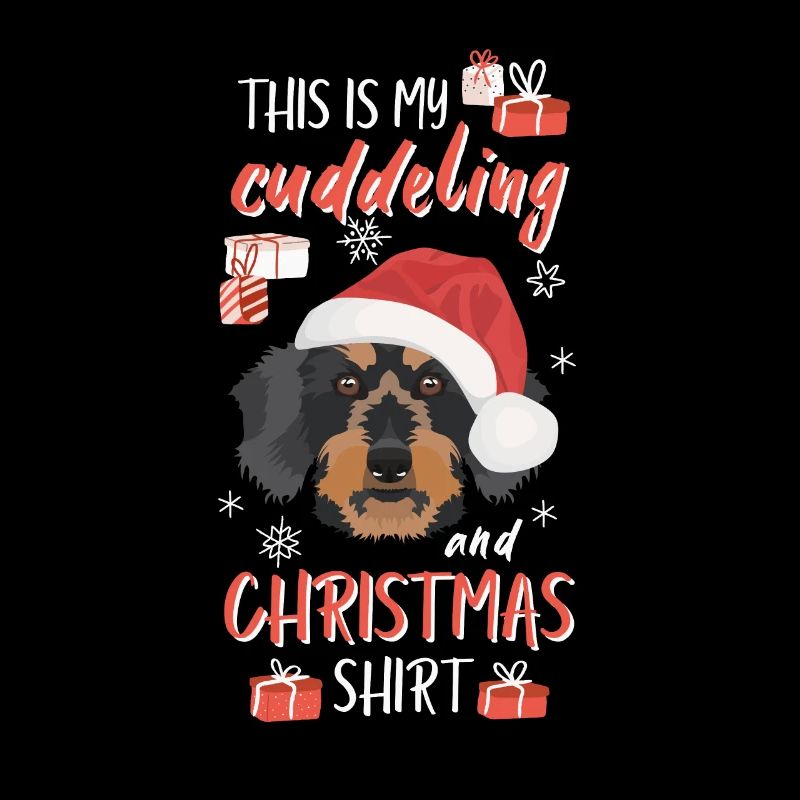 Rough-haired dachshund Christmas