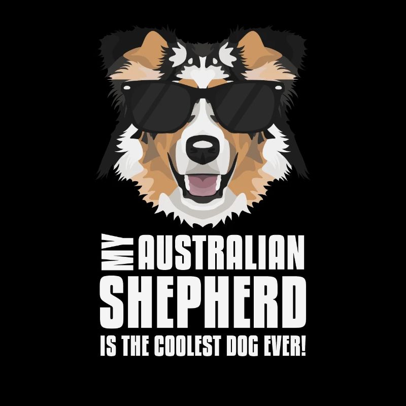 Mein Australian Shepherd ist der Coolste