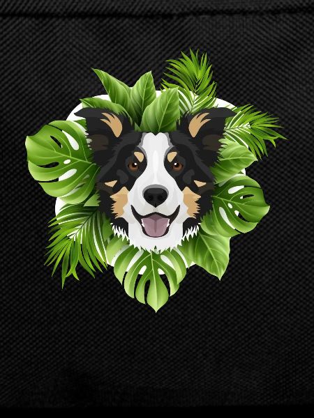 Tropical Border Collie