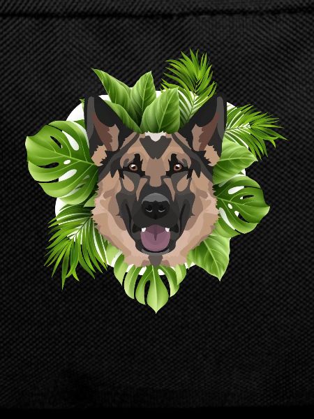 Berger allemand tropical
