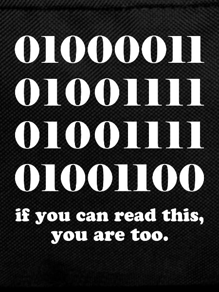 Computer binary code developers gift