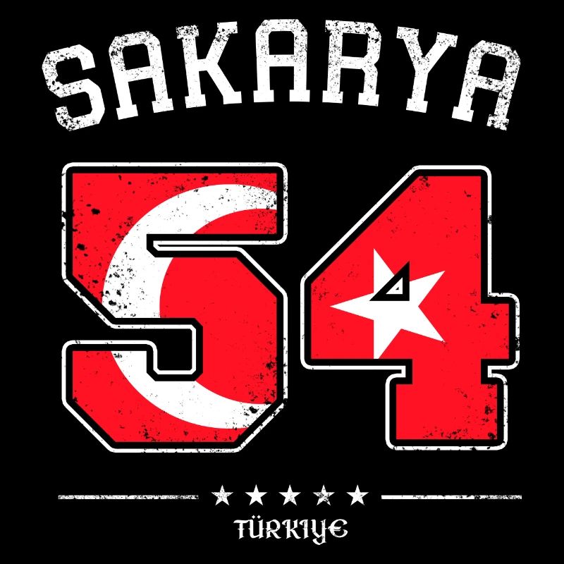 54 Sakarya Türkiye Retro
