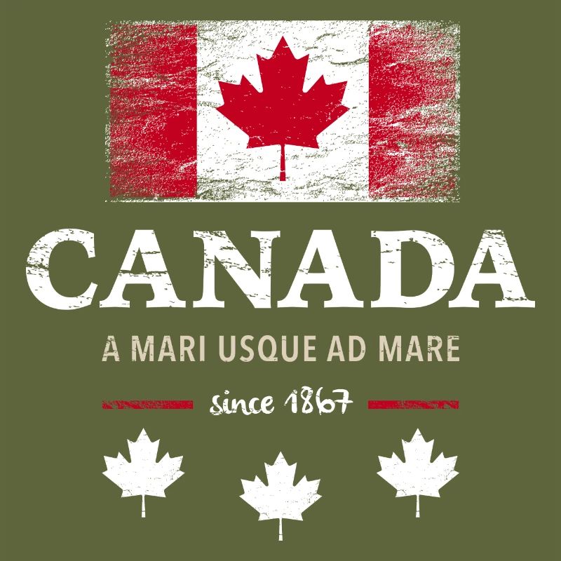 Canada Ottawa Maple Leaf Maple Leaf Canada America