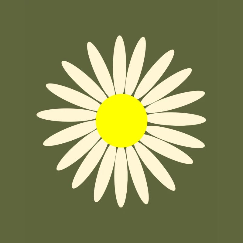 gaensebluemchen
