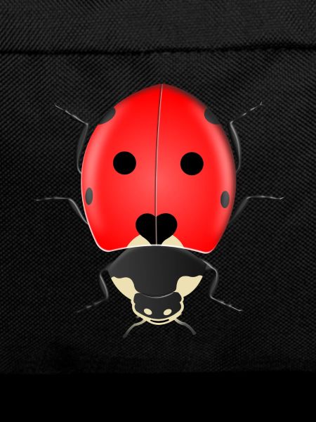 ladybug
