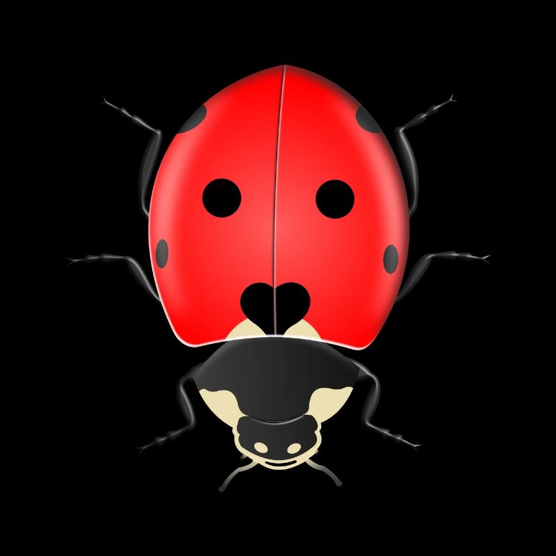 ladybug