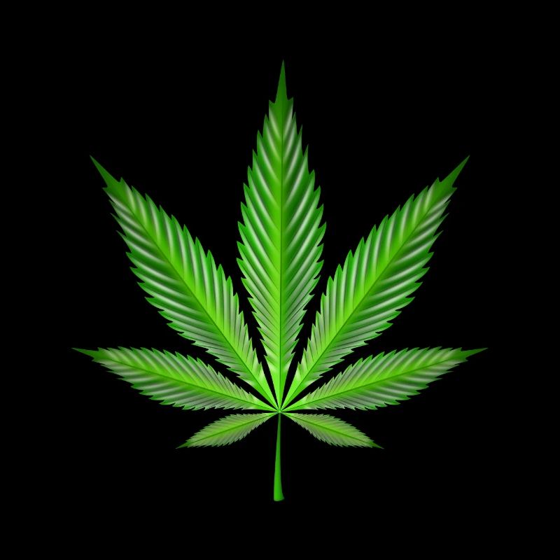 Cannabisblatt