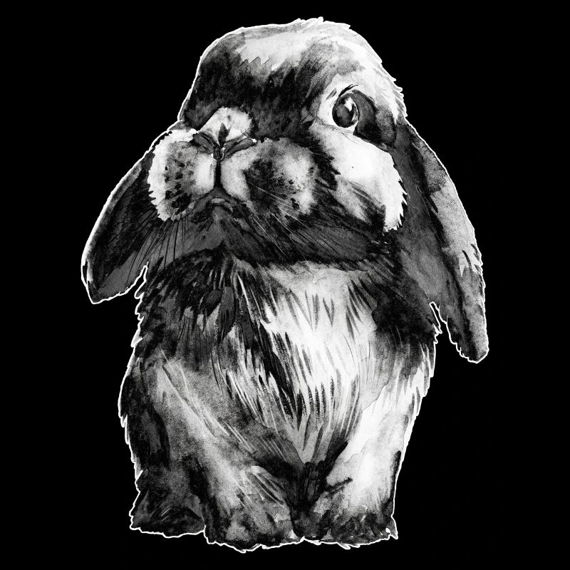 Rabbit Schlapohr