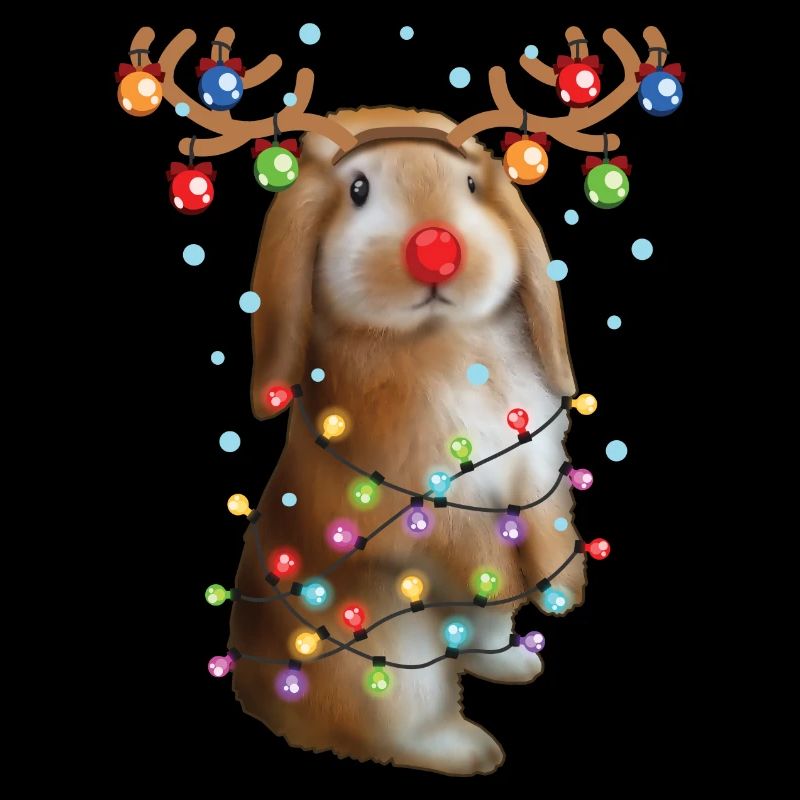 Lapin de Noël - Drôle de lapin de Noël mignon
