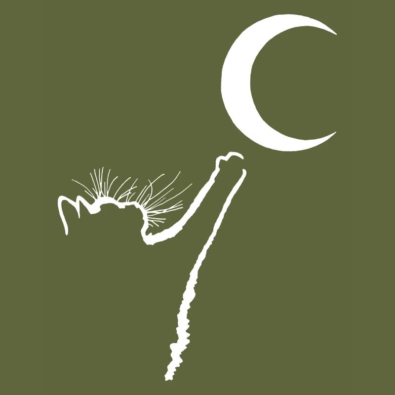 Die Katze und der Mond