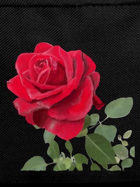 Rote Rose