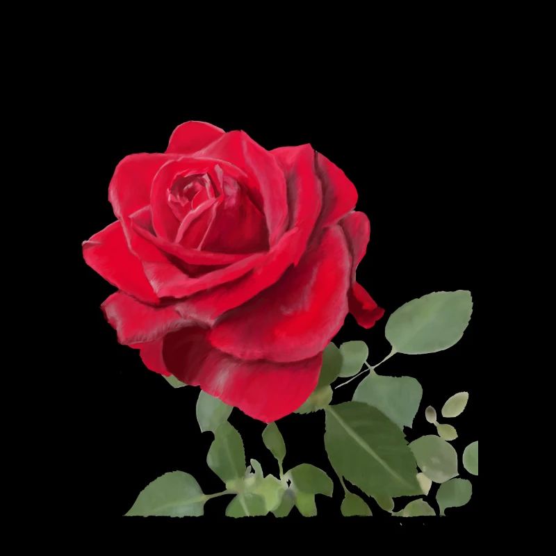 Rose rouge