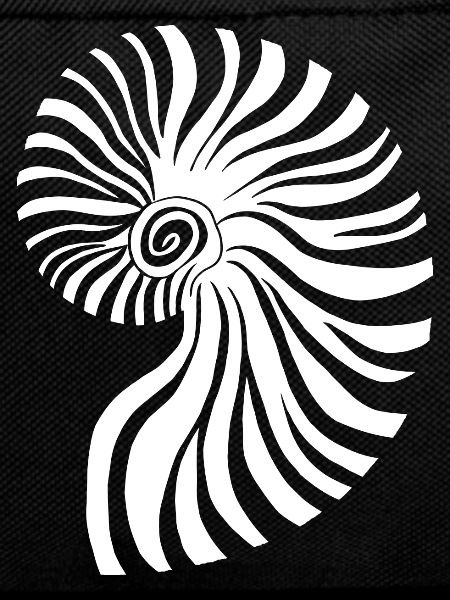 Contrasting spiral nautical pattern
