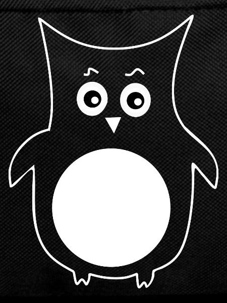 white owl bird white