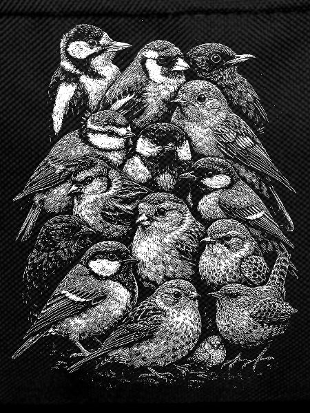 Line Birds: Flock of Birds Sketch