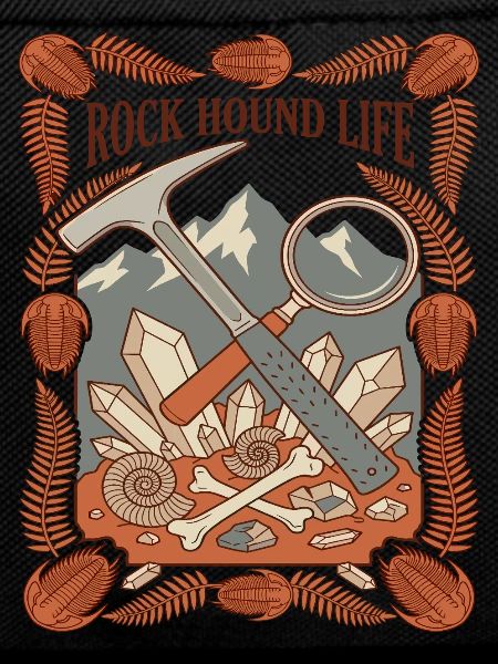 Rock Hound Life Geology Fossils
