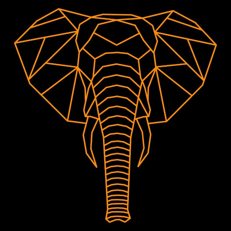 Ligne géométrique de l’éléphant