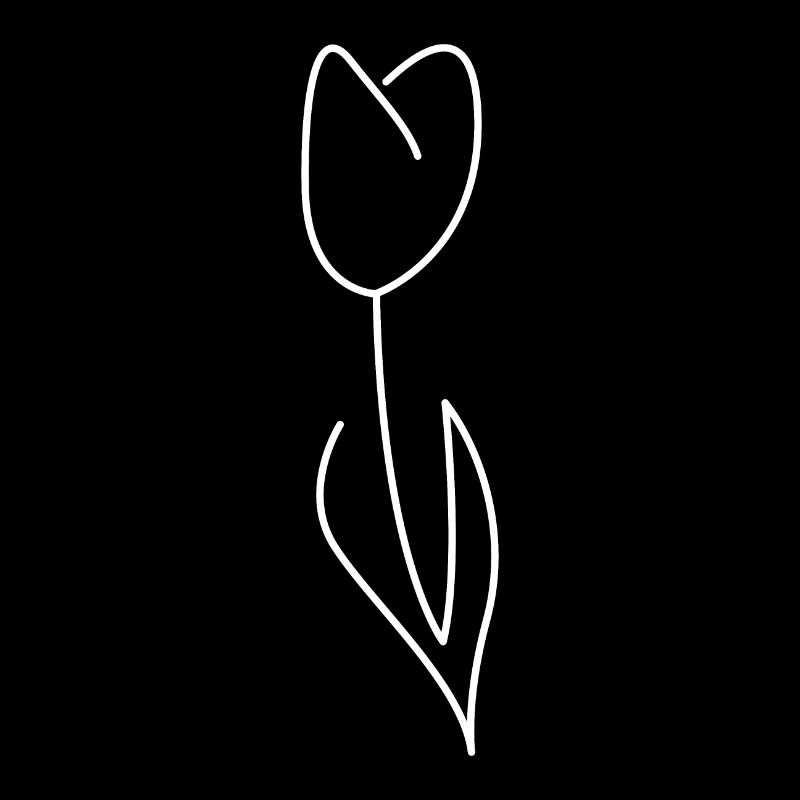 Tulpe