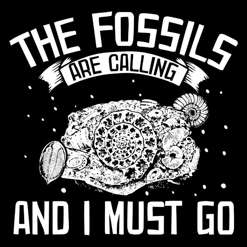 Fossil collectors | Fossils Collect Gift Idea