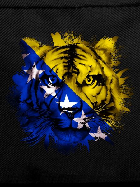 Bosnia and Herzegovina