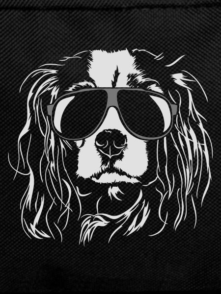 CAVALIER KING CHARLES SPANIEL cool