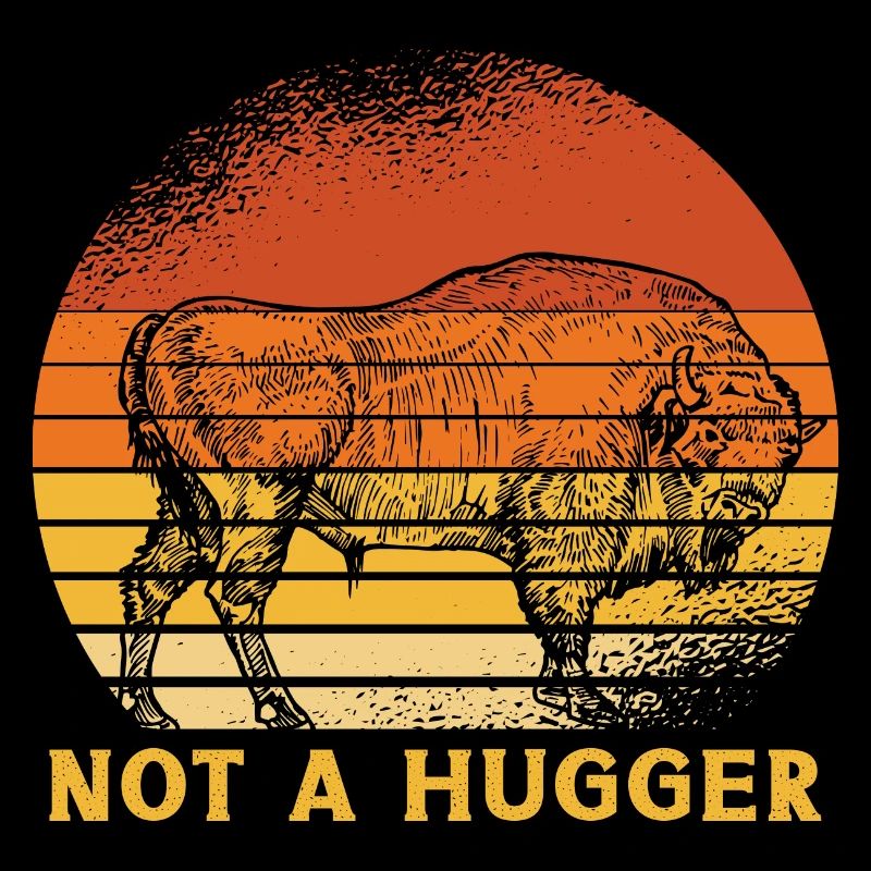 American Bison Buffalo