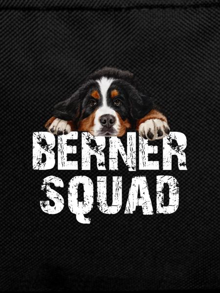 Bouvier bernois