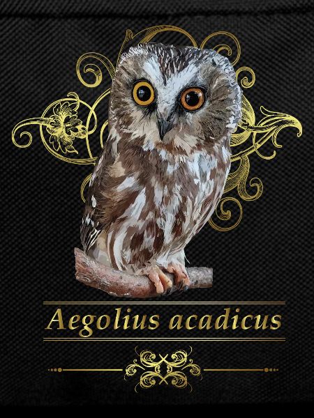 Northern owl