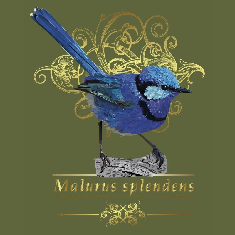 splendid maluro