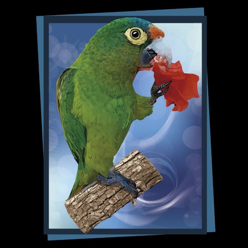 Orange-fronted parakeet