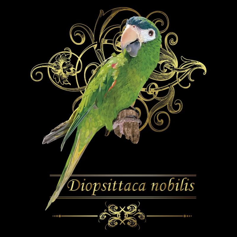 Le noble ara
