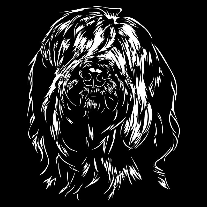 BRIARD Berger de Brie Portrait de chien Chiens Wilsigns