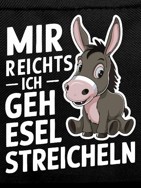 Donkey Donkey Mule Muli