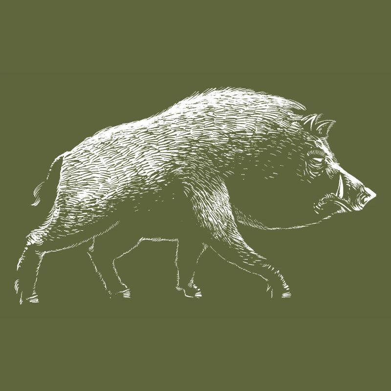 Wild boar