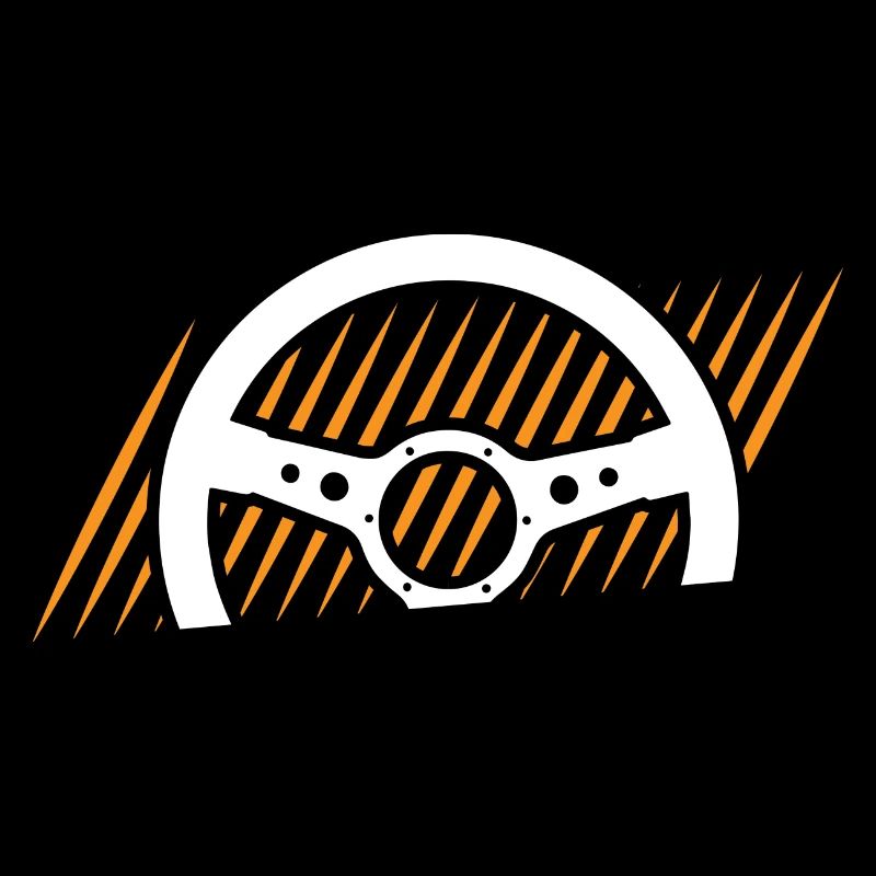 Fahrlehrer