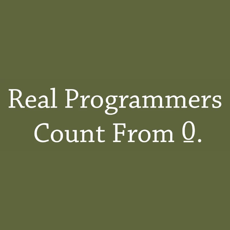 Programmer Coder Software Developer